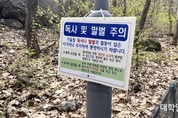 ‘벌레, 말벌, 경사면…’ 자연 속의 한국외대 글로벌캠퍼스, 학생들의 불편사항과 해결책은?