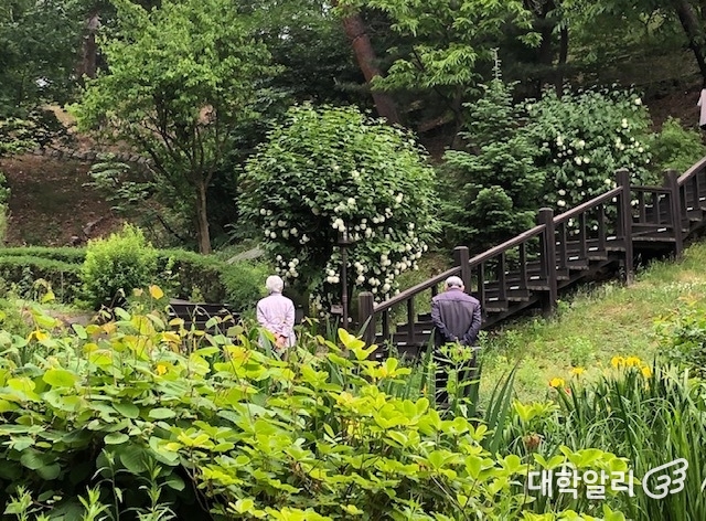 관저로 가는 길의 산책로 / 사진=류효림 기자