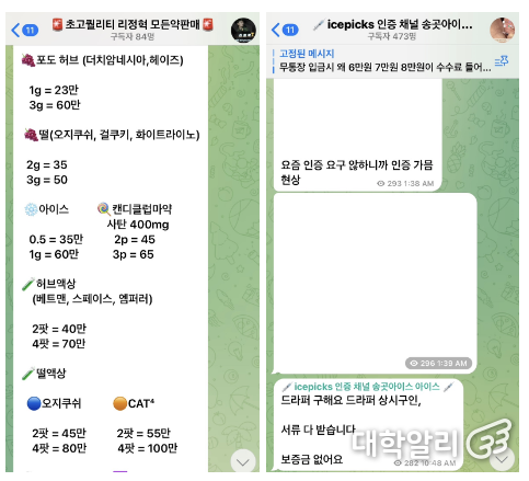 텔레그램 마약 거래방/ 출처: 기하늘 기자