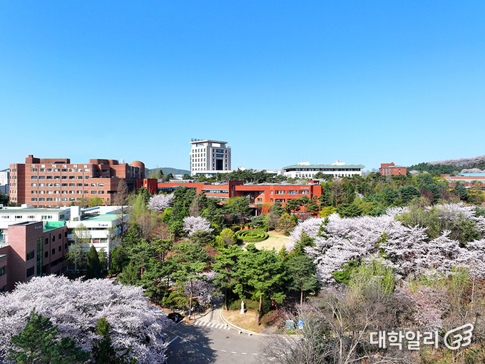 가톨릭대학교 성심교정 전경 (사진=<strong>가톨릭대학교 홈페이지</strong>)