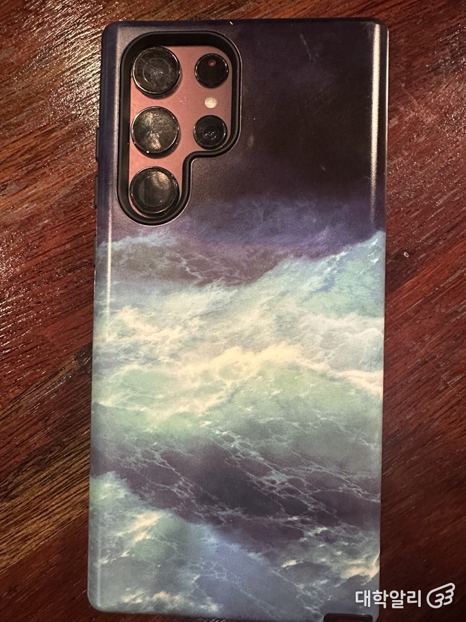 Ness’s phone case, featuring a work by Romantic painter Ivan Aivazovsky from her hometown of Feodosia—an emblem of her longing for Crimea. (Photo by Myeonghwi Kim)