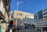 '강한 자만이 살아남는 1호선'...외대생은 어떻게 살아남았나