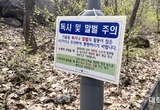 ‘벌레, 말벌, 경사면…’ 자연 속의 한국외대 글로벌캠퍼스, 학생들의 불편사항과 해결책은?